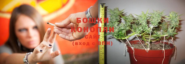 шишки Зерноград