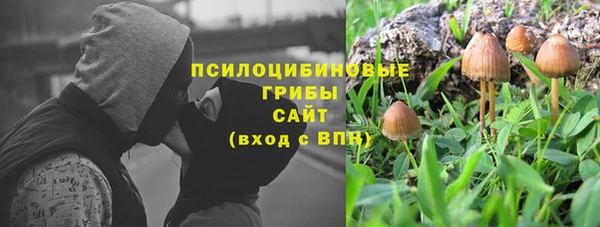 шишки Зерноград